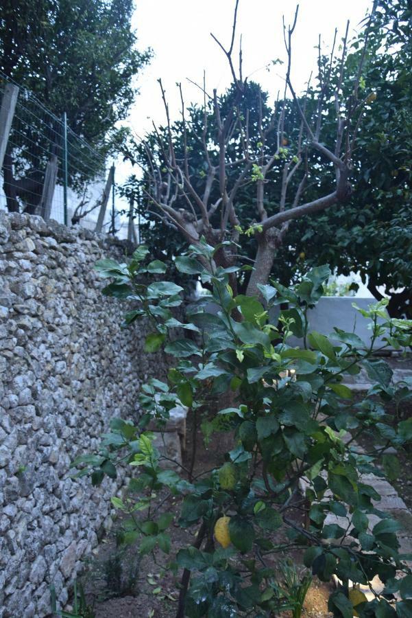 Dimora Le Zagare Apartment Ostuni Exterior photo