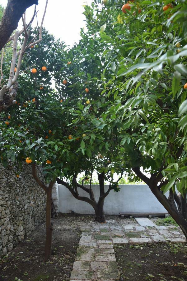 Dimora Le Zagare Apartment Ostuni Exterior photo