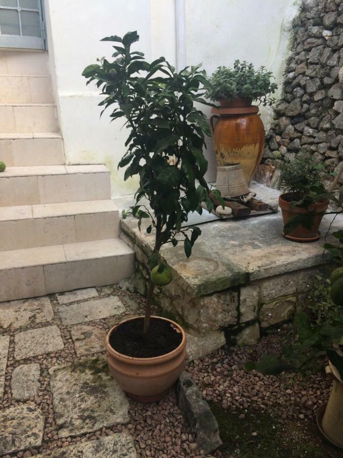 Dimora Le Zagare Apartment Ostuni Exterior photo